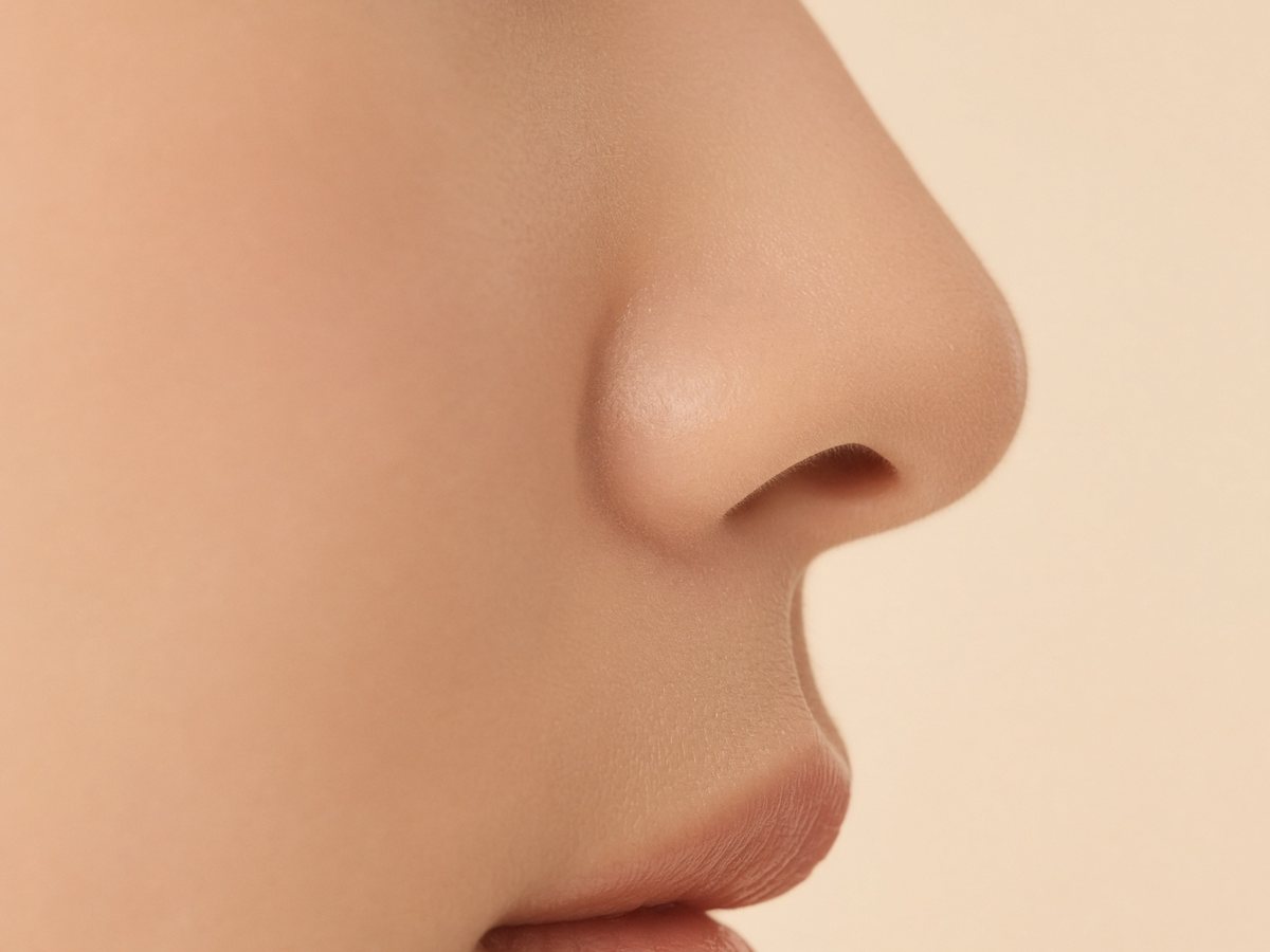 코 옆모습(연출 이미지)